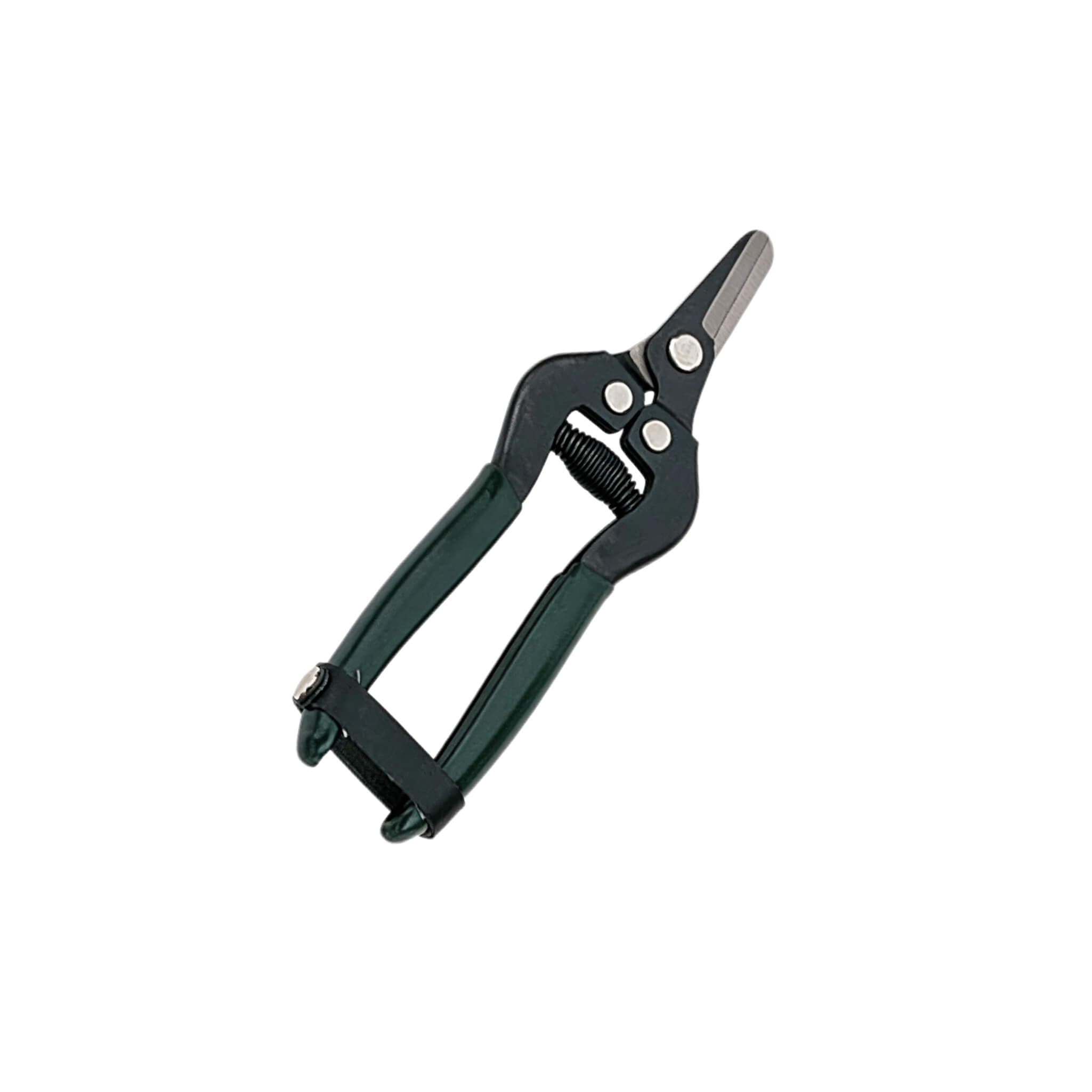 Garden Scissor SP33011