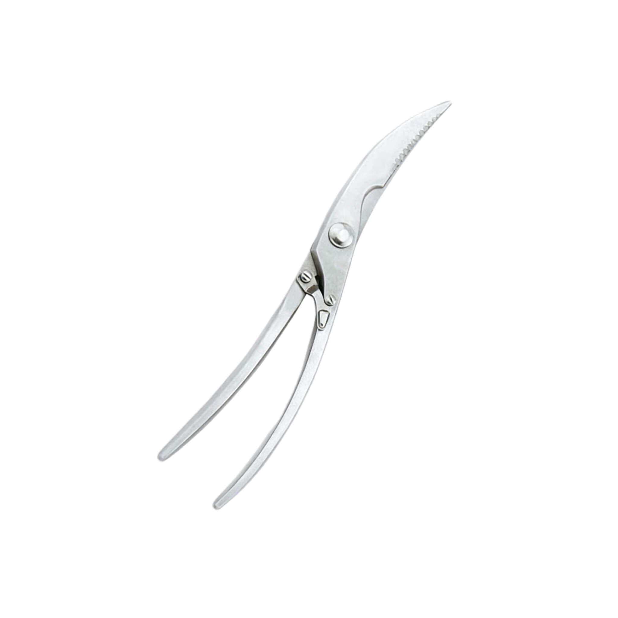 Kitchen Scissor SP31031